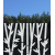 ROS24 70x47 naklejka na okno wzory roślinne - bambusy
